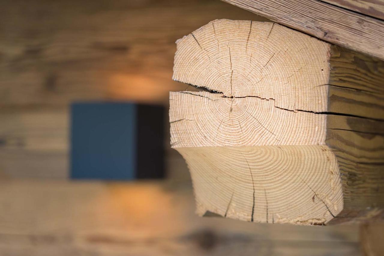 Chalet-Karwendel Terfens エクステリア 写真